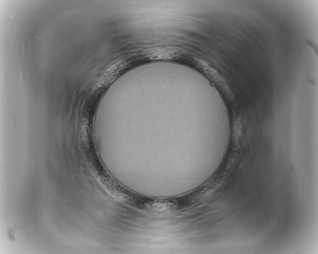 X0000101480209200808041135