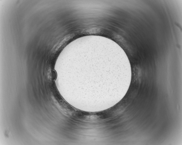 X0000101480212200808041135