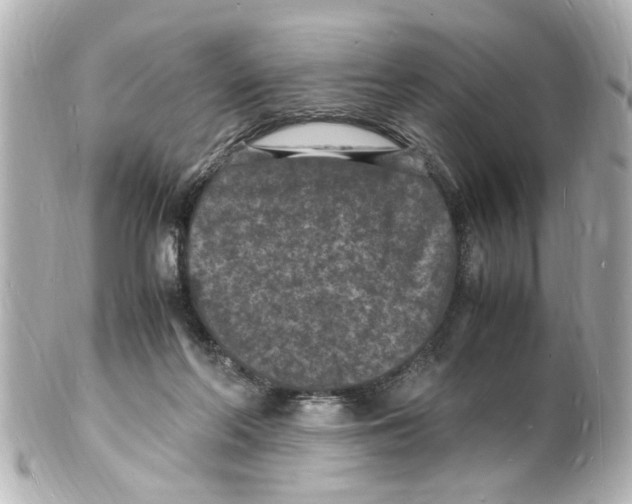 X0000101480214200808041135