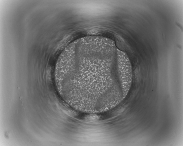 X0000101480217200808041135