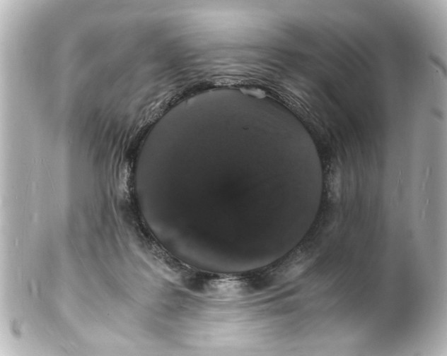 X0000101480219200808041135