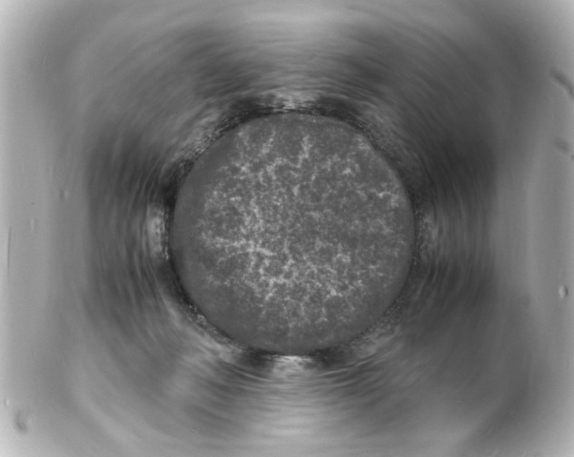 X0000101480222200808041135