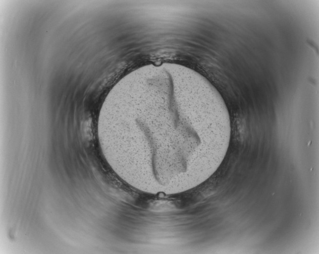 X0000101480224200808041135