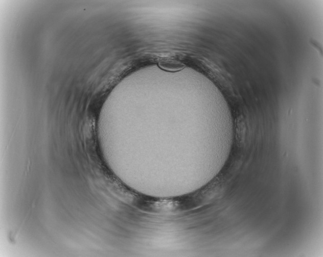 X0000101480225200808041135