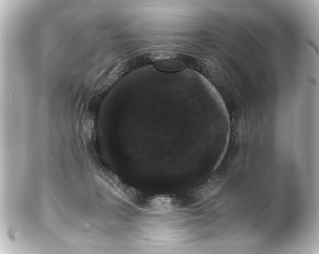 X0000101480227200808041135