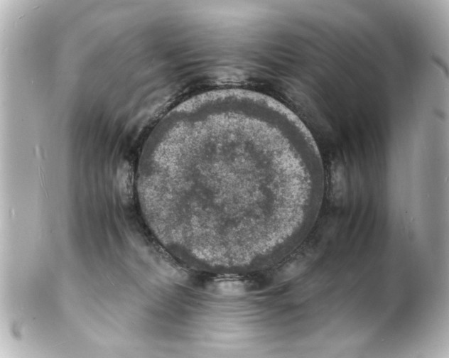 X0000101480228200808041135