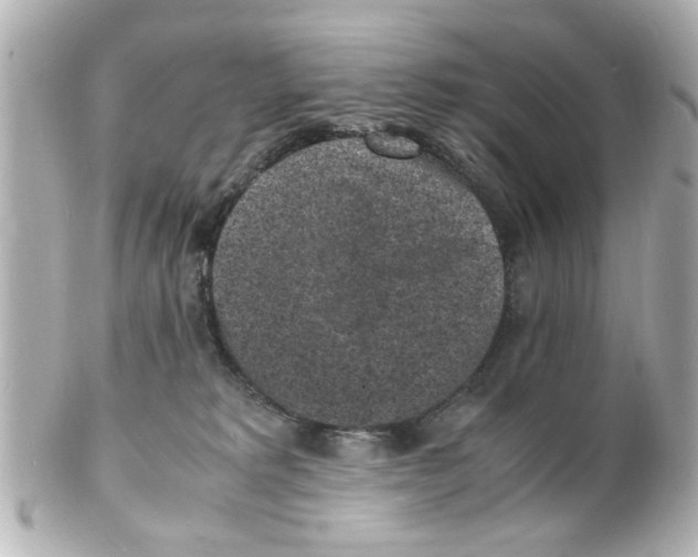 X0000101480229200808041135