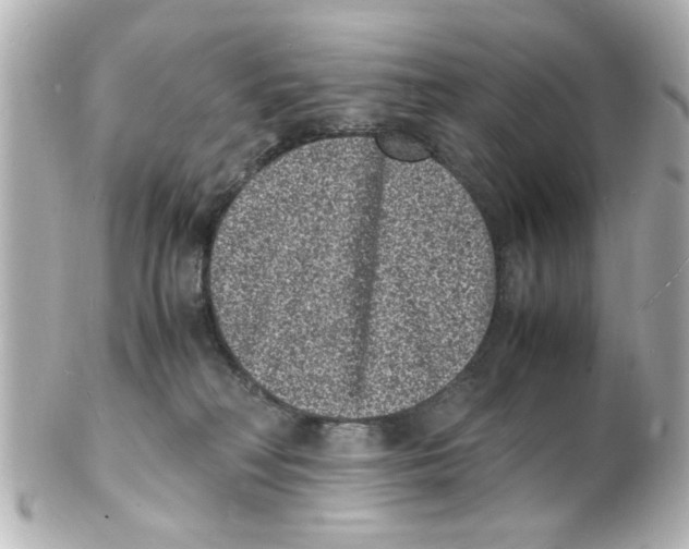 X0000101480230200808041135