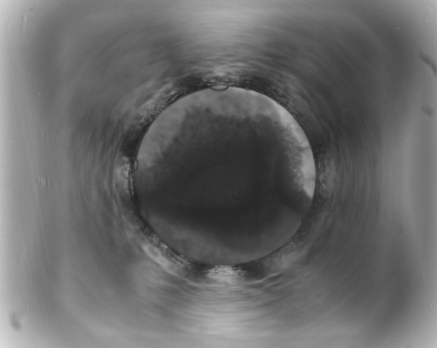 X0000101480231200808041135