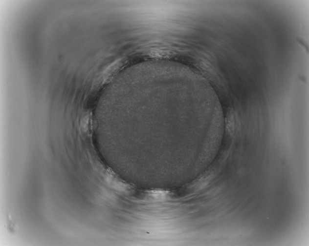 X0000101480233200808041135