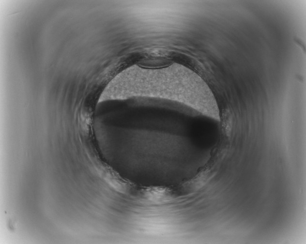 X0000101480235200808041135