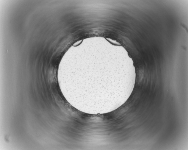 X0000101480236200808041135