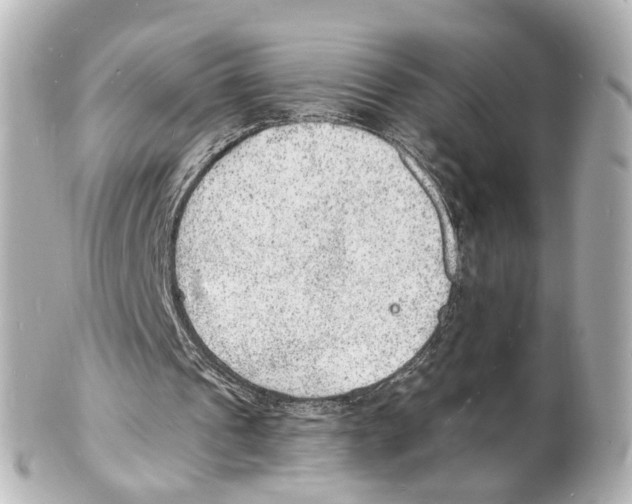 X0000101480241200808041134