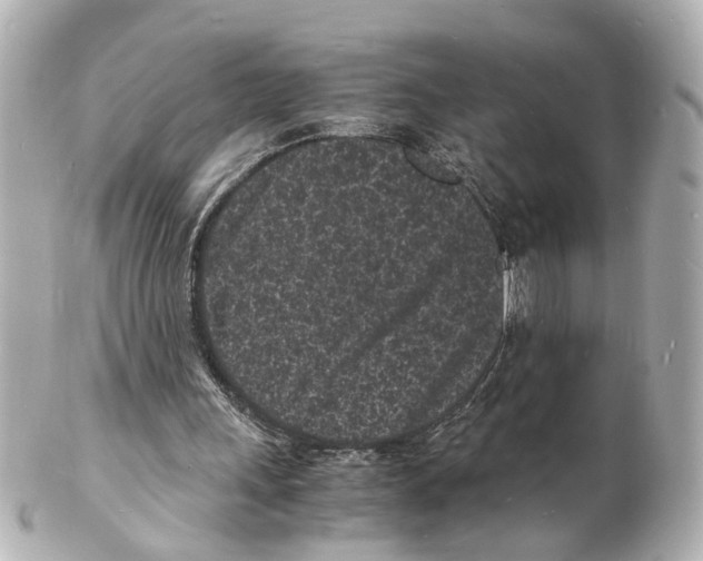 X0000101480243200808041134