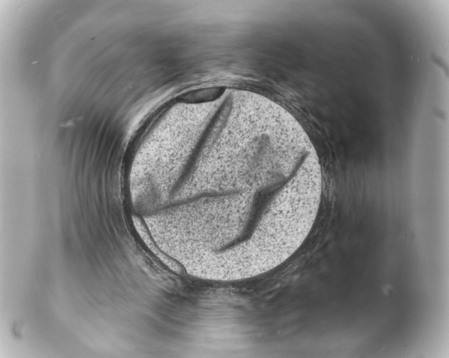 X0000101480244200808041134