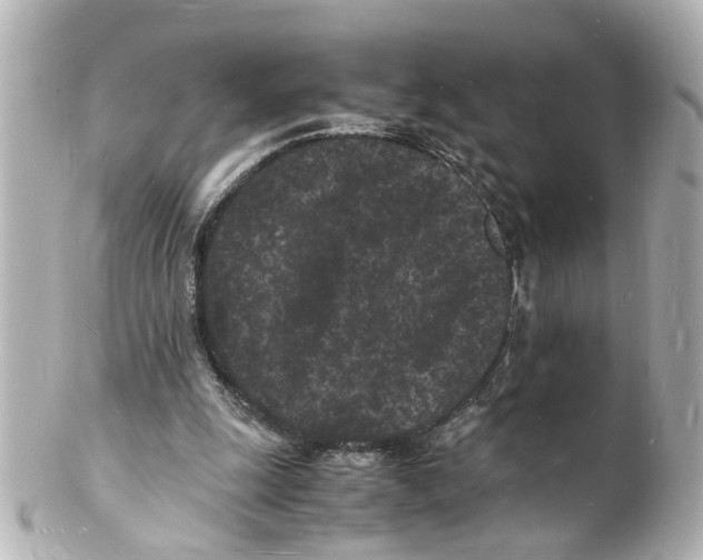 X0000101480247200808041134