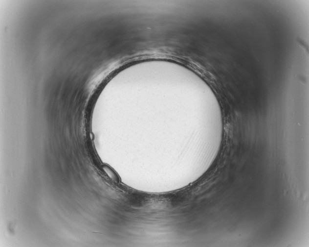 X0000101480248200808041134