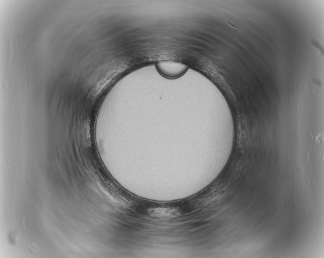 X0000101480251200808041135