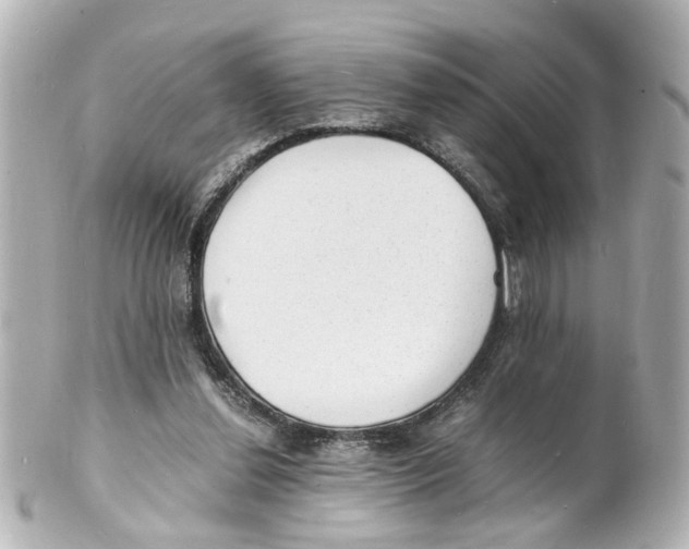 X0000101480252200808041135