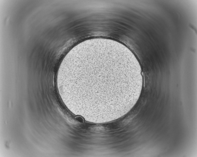 X0000101480253200808041135