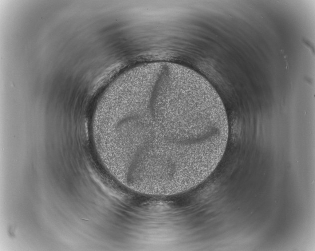 X0000101480254200808041135