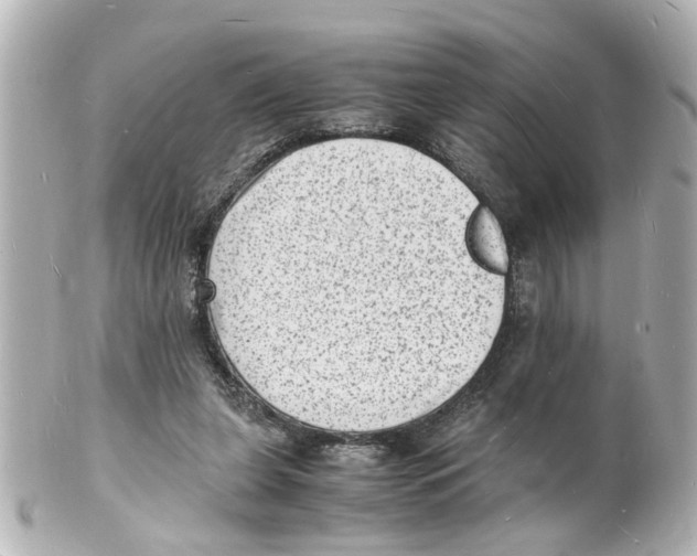 X0000101480255200808041135