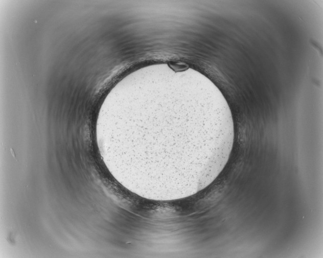 X0000101480256200808041135