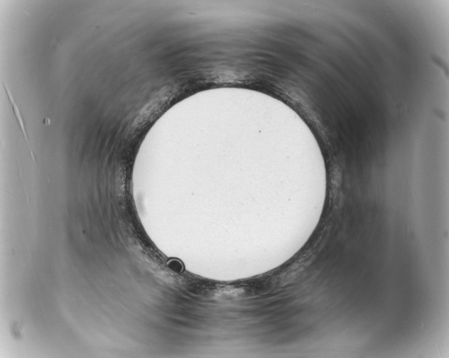 X0000101480257200808041135