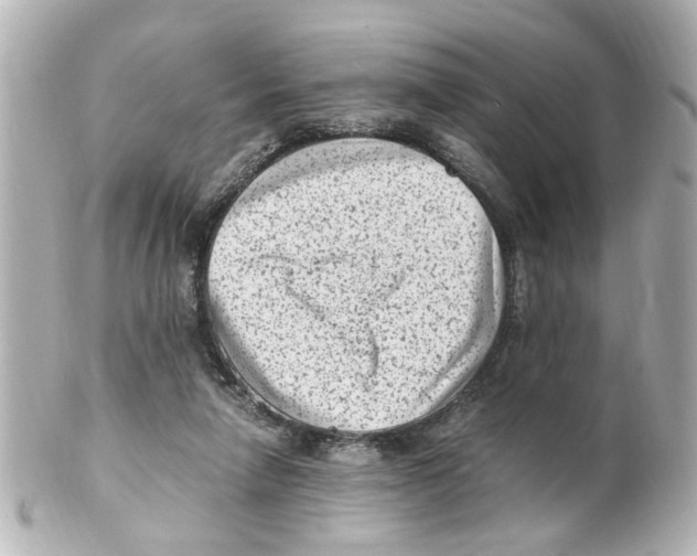 X0000101480258200808041135