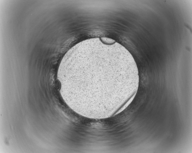 X0000101480259200808041135