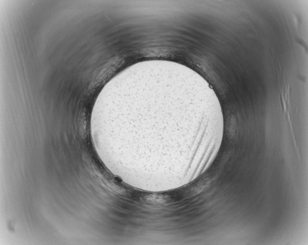 X0000101480261200808041135