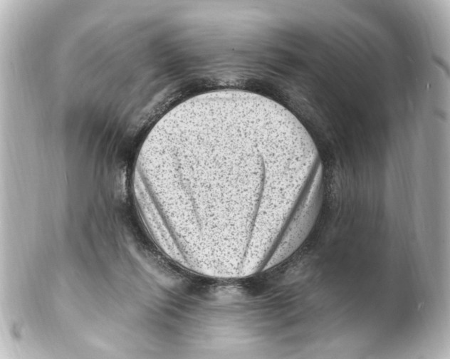 X0000101480262200808041135