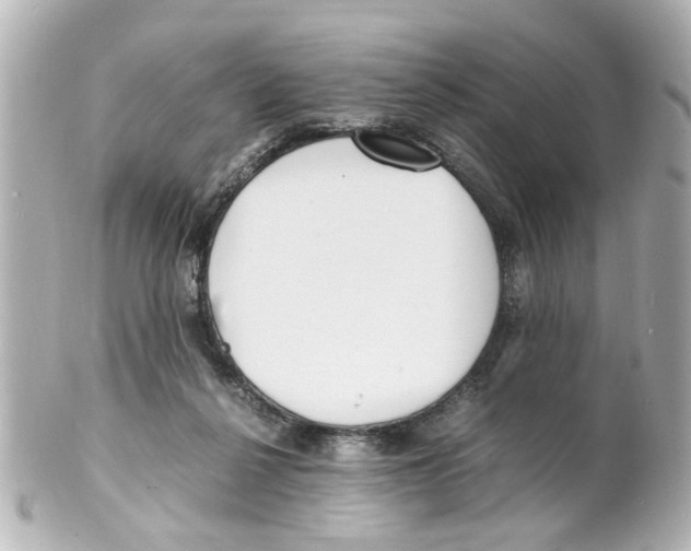 X0000101480264200808041135