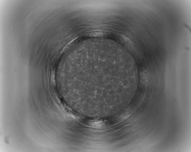 X0000101480267200808041135