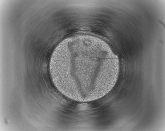 X0000101480269200808041135