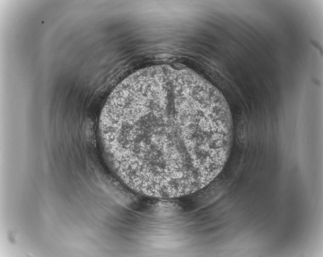 X0000101480270200808041135