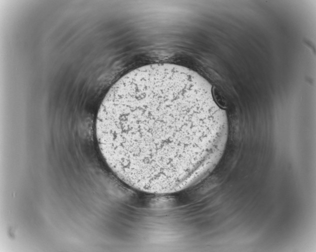 X0000101480274200808041135