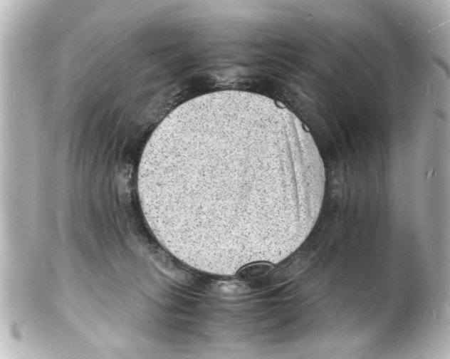 X0000101480275200808041135