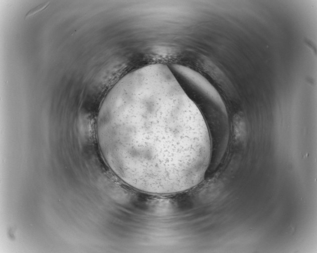 X0000101480276200808041135