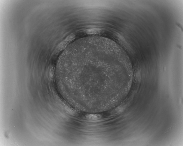 X0000101480277200808041135