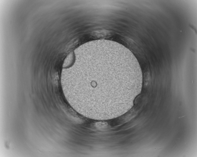 X0000101480279200808041135