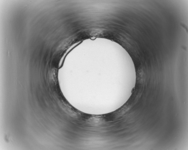 X0000101480280200808041135