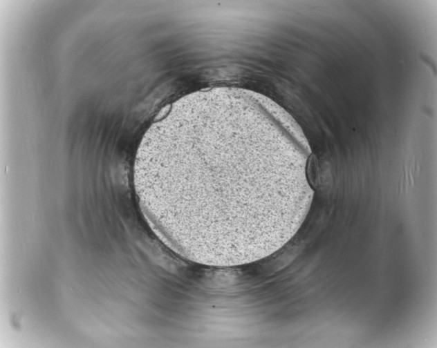 X0000101480282200808041135