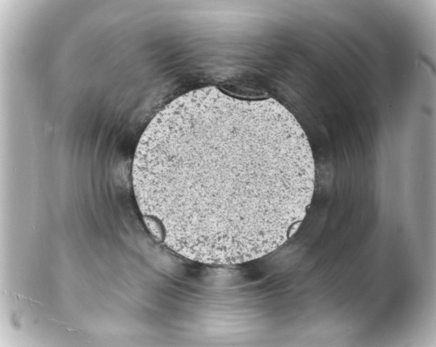 X0000101480286200808041135