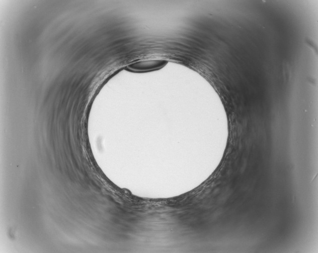 X0000101480289200808041134