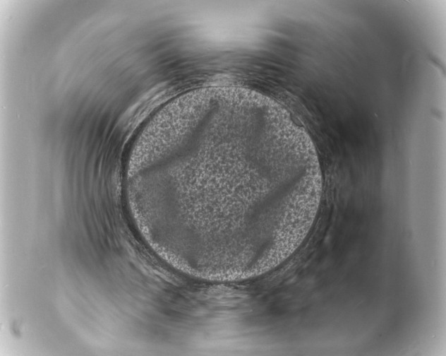 X0000101480290200808041134