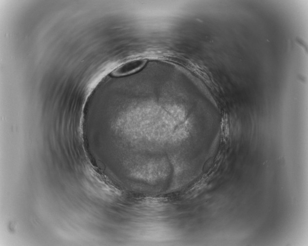 X0000101480292200808041134