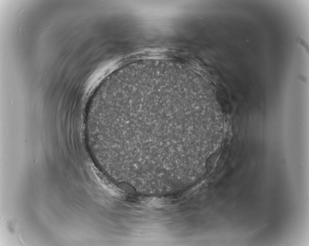 X0000101480293200808041134