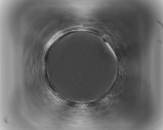 X0000101480295200808041134