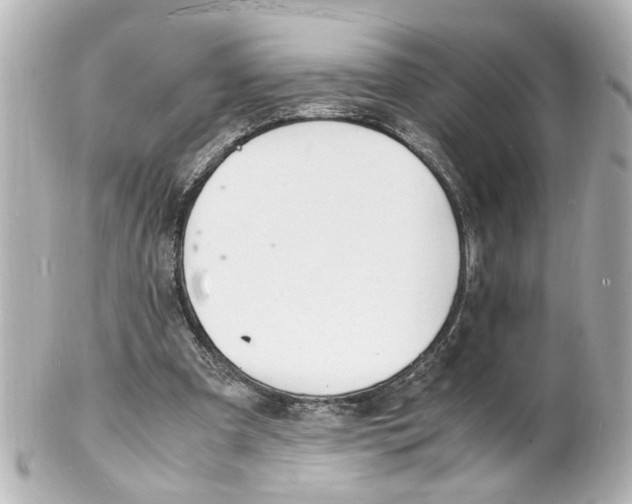 X0000101480297200808041134